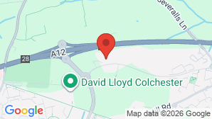 google map image
