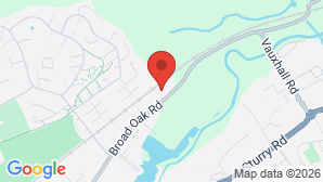 google map image
