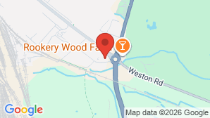 google map image