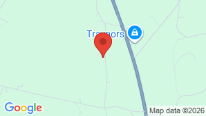 google map image