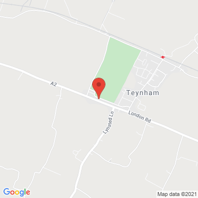 google map image