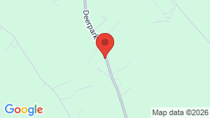 google map image