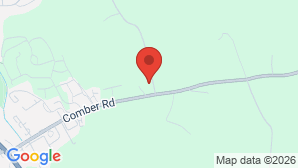 google map image