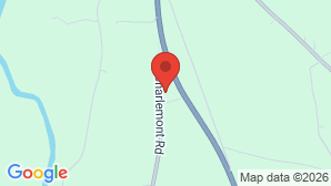 google map image