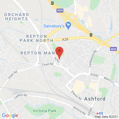 google map image
