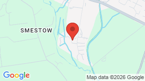 google map image