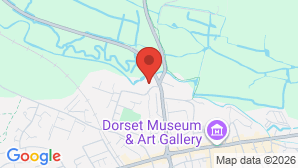 google map image