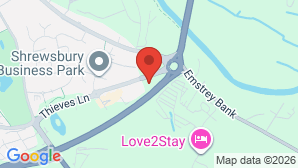 google map image