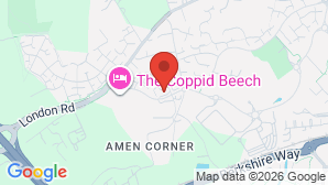 google map image