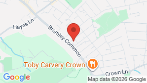 google map image