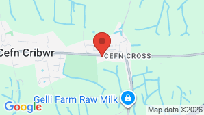 google map image