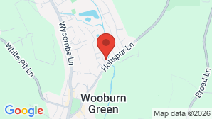 google map image