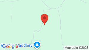 google map image