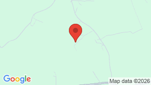 google map image