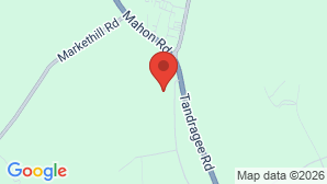 google map image
