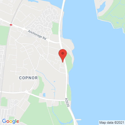 google map image