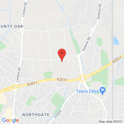 google map image