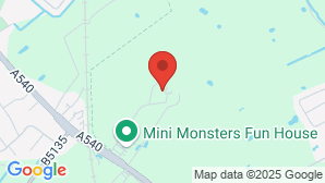 google map image