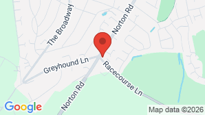google map image