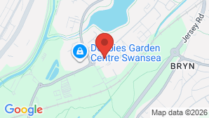 google map image