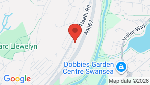 google map image