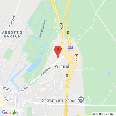 google map image