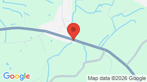google map image