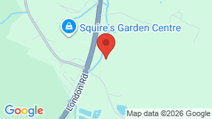 google map image