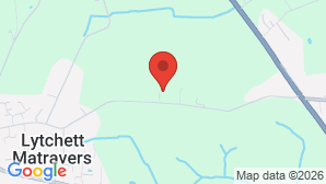 google map image