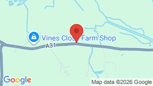 google map image