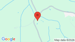 google map image