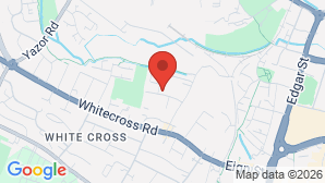google map image