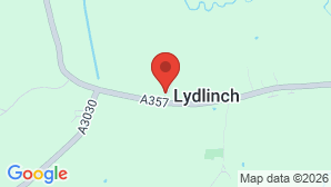 google map image