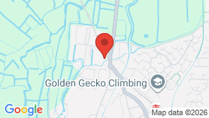 google map image