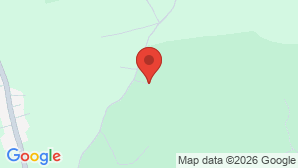 google map image