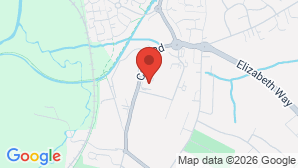 google map image