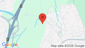 google map image