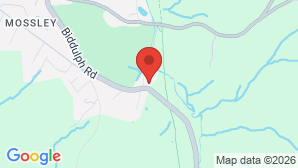 google map image