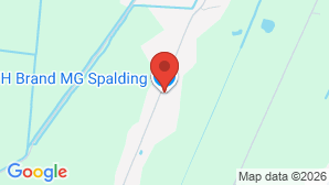 google map image
