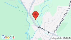 google map image