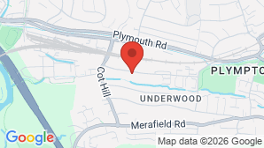 google map image
