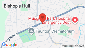 google map image