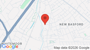 google map image