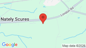 google map image