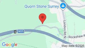 google map image