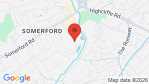 google map image