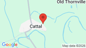 google map image