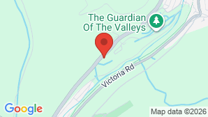 google map image