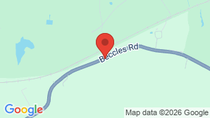 google map image