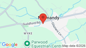 google map image